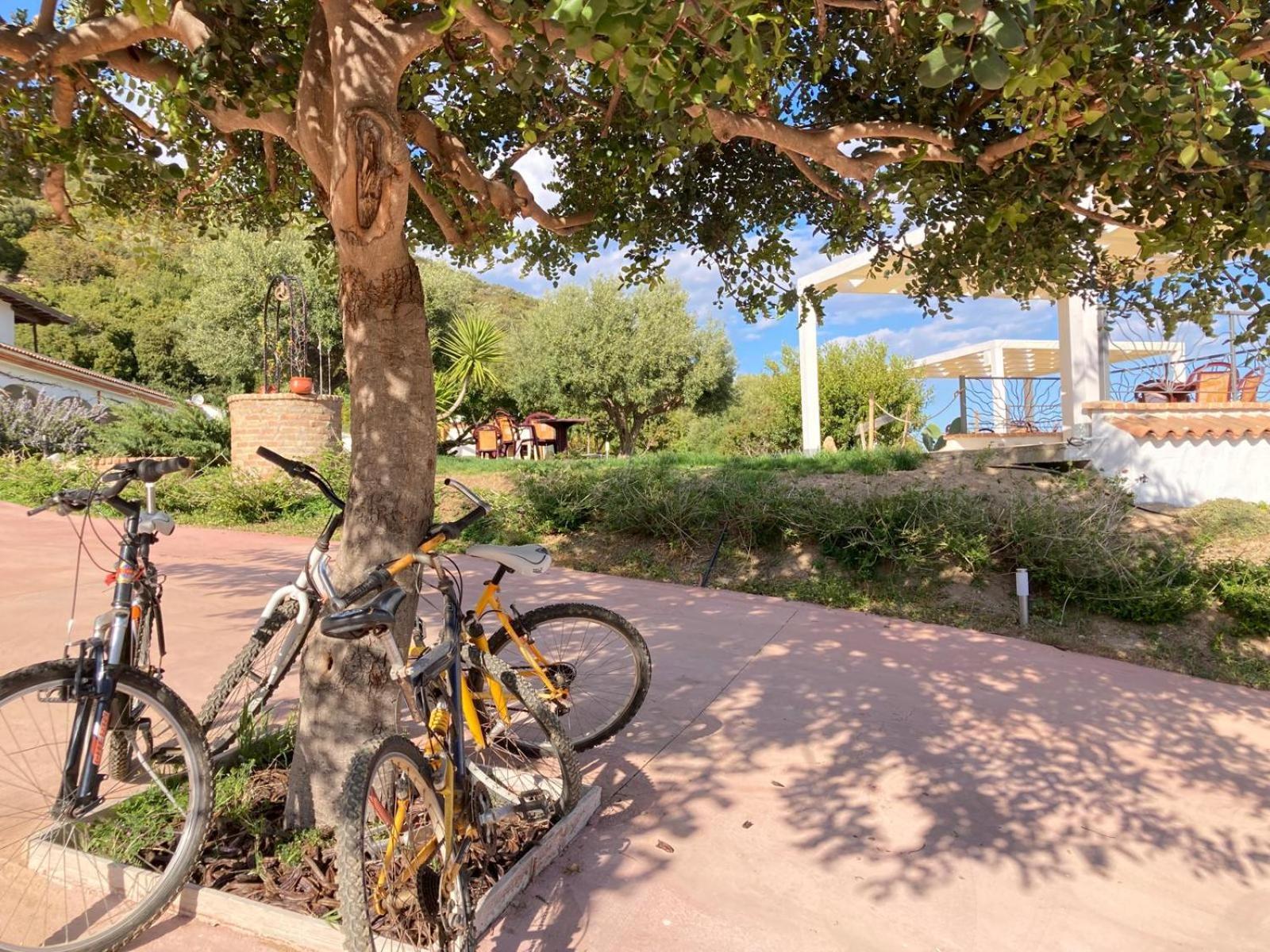 Hotel Essenza Di Mirto La Caletta Dış mekan fotoğraf