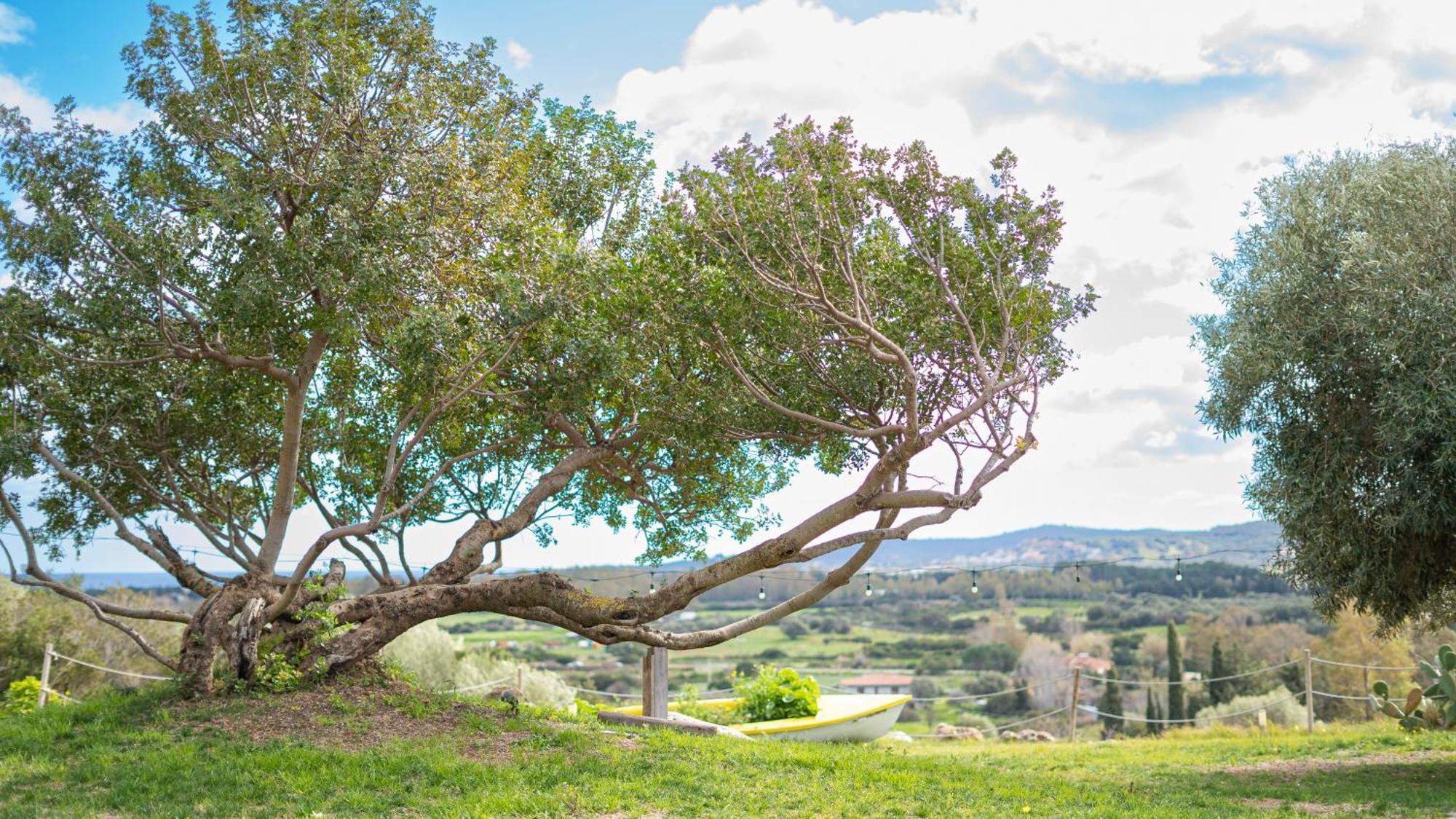 Hotel Essenza Di Mirto La Caletta Dış mekan fotoğraf